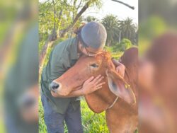 ‘Bukan sekadar haiwan yang disembelih, tapi awak sahabat saya’