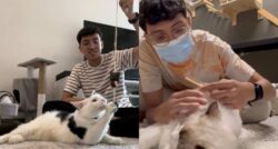 Hobi jaga kucing bantu Iman cari duit lebih