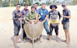 Berbaloi, umpan RM1 dapat pari 26kg