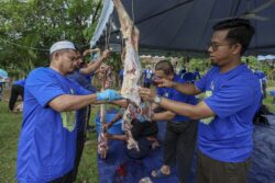 Ibadah korban, bukan sekadar daging dan darah