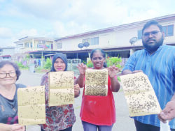 ‘Tiba-tiba banyak lalat, penuh dalam rumah’
