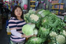 Rugi RM10,000 sebulan bersaing dengan sayur luar negara