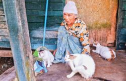 40 tahun hidup hanya berteman kucing
