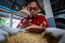 Korban Masa, Tenaga Demi Negara