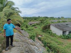 ‘Ini rumah kah hutan?’