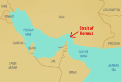 Iran mahu tutup Selat Hormuz, pintu angkut minyak terpenting dunia