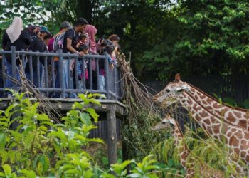 Rancang percutian keluarga sempurna ke Sunway Lagoon dan Zoo Negara