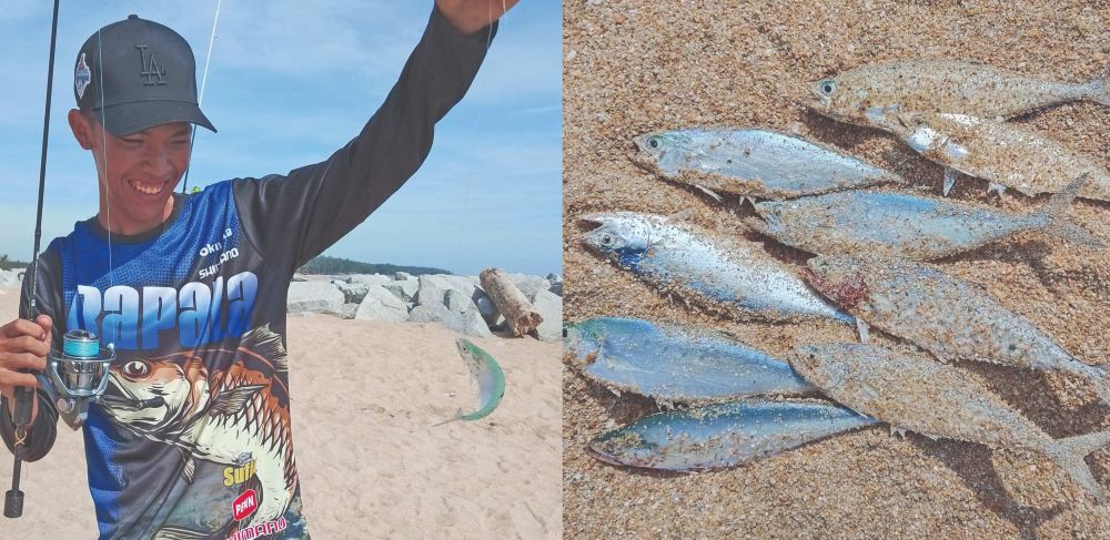 Aduweh: Mendedahkan Ikan Hiburan Pemancing Baharu - Mengapa Ibu Bapa Perlu Menyokong Minat Anak Memancing!