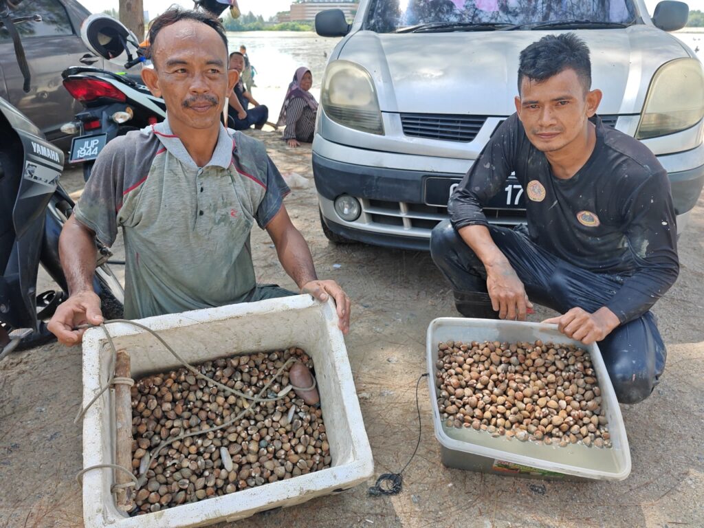 Seronok kerang ‘naik’ berkati-kati di Pantai Klebang