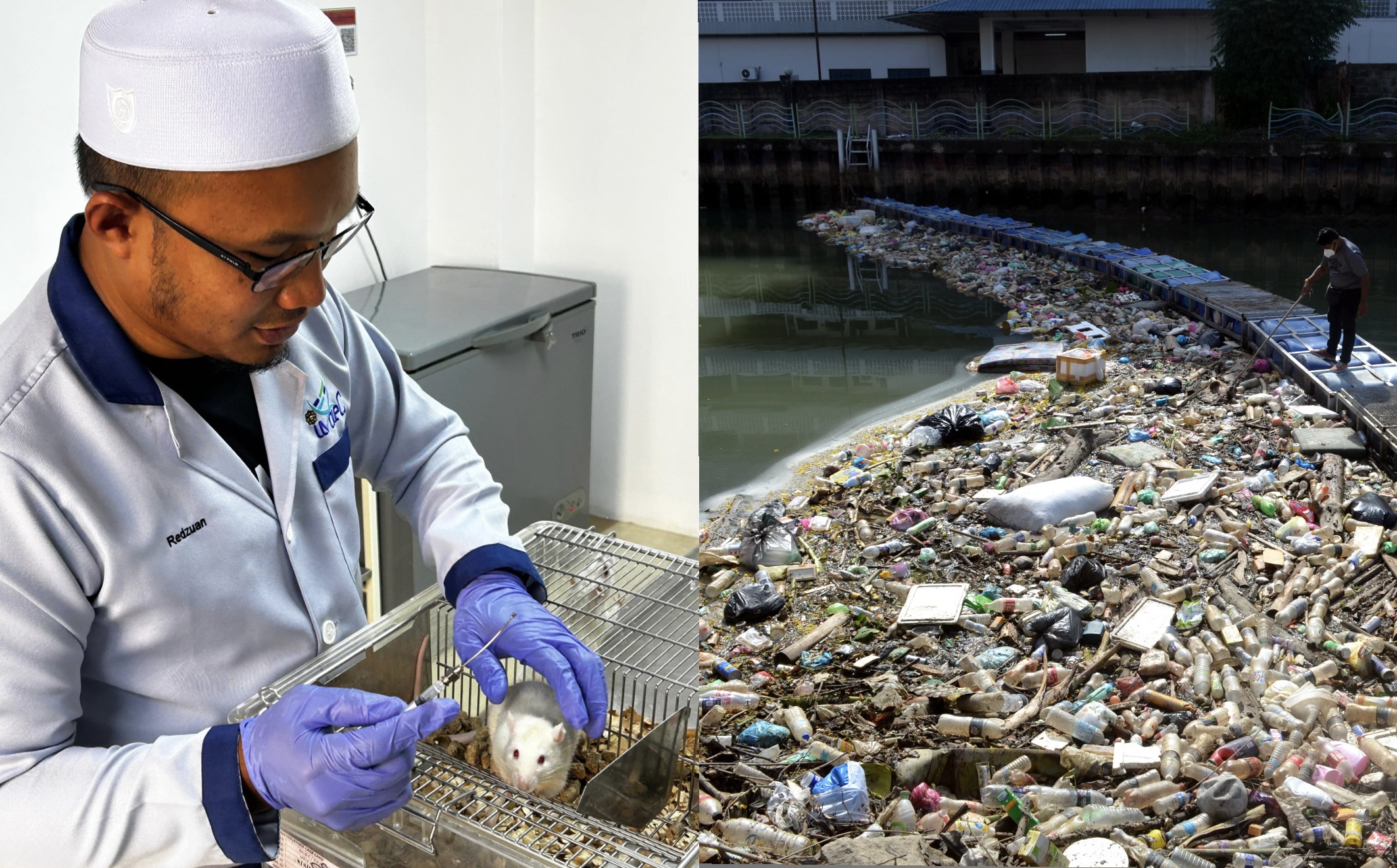 Tertelan mikroplastik melalui makanan laut