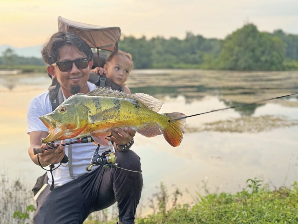 Mengendap peacock bass Lembah Jernih