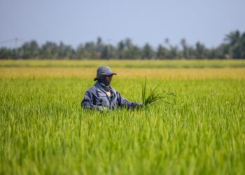 Pertanian bukan lagi dianggap sektor pinggiran