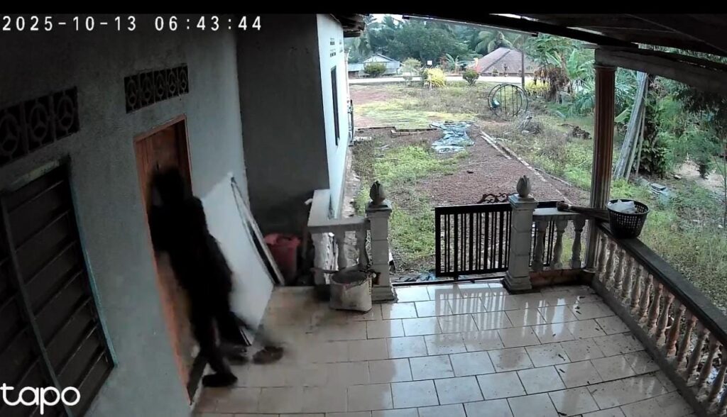 [VIDEO] Abang buat apa tu?