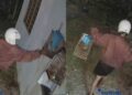 [VIDEO] Gagal jadi manusia, burung pun curi