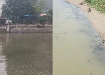 Beribu-ribu ikan timbul di permukaan sungai