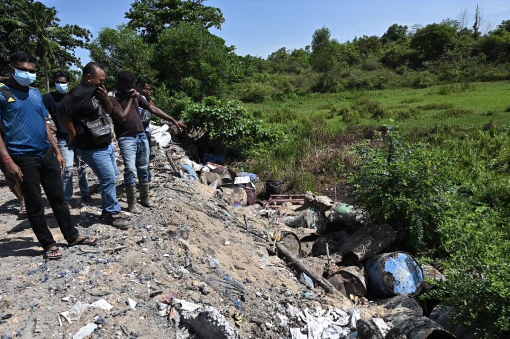 Lembu mati disyaki termakan rumput tercemar disiasat