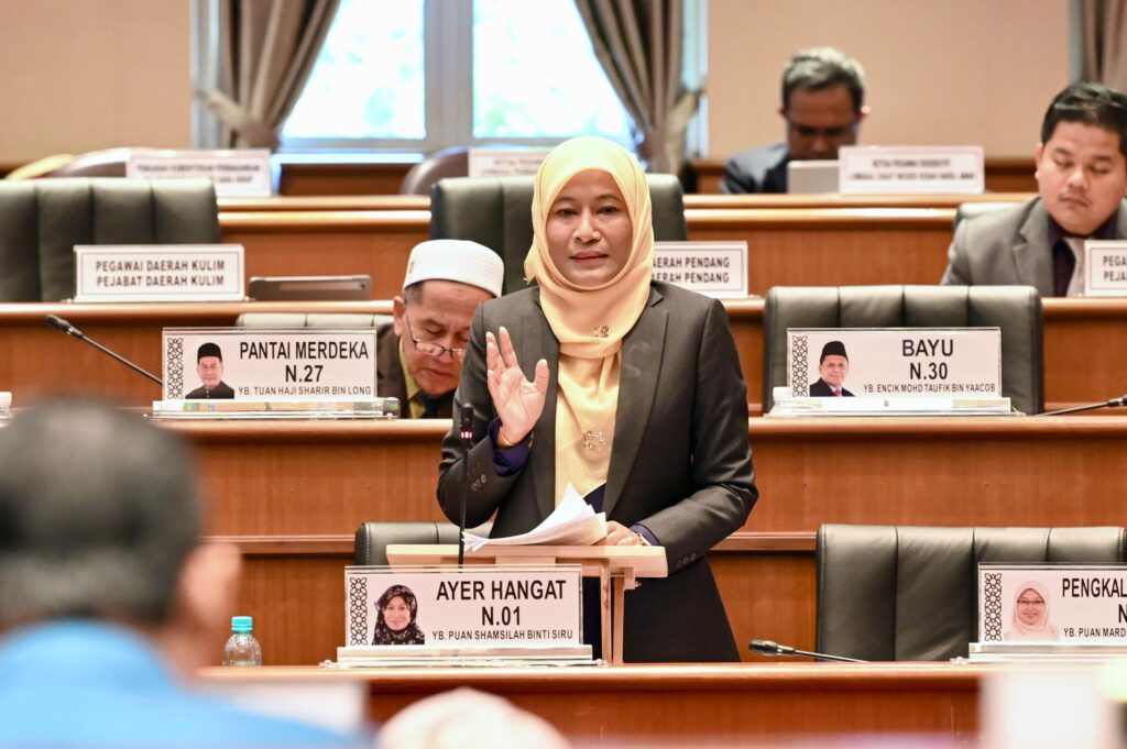 DUN Kedah: Isu kesihatan mental lelaki Kedah ibarat bom jangka