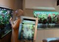 Paludarium pilihan dekorasi, siap berkabus-kabus bak hutan hujan sebenar!