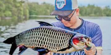 Jelawat pipi merah penunggu Danau Sentarum