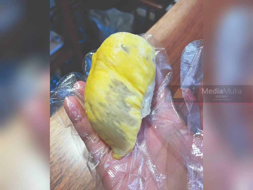 Musang king diserang belang harimau