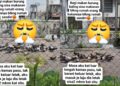 Jiran buang sisa makanan, rumah dipenuhi burung