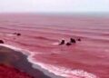 Laut bertukar menjadi merah darah