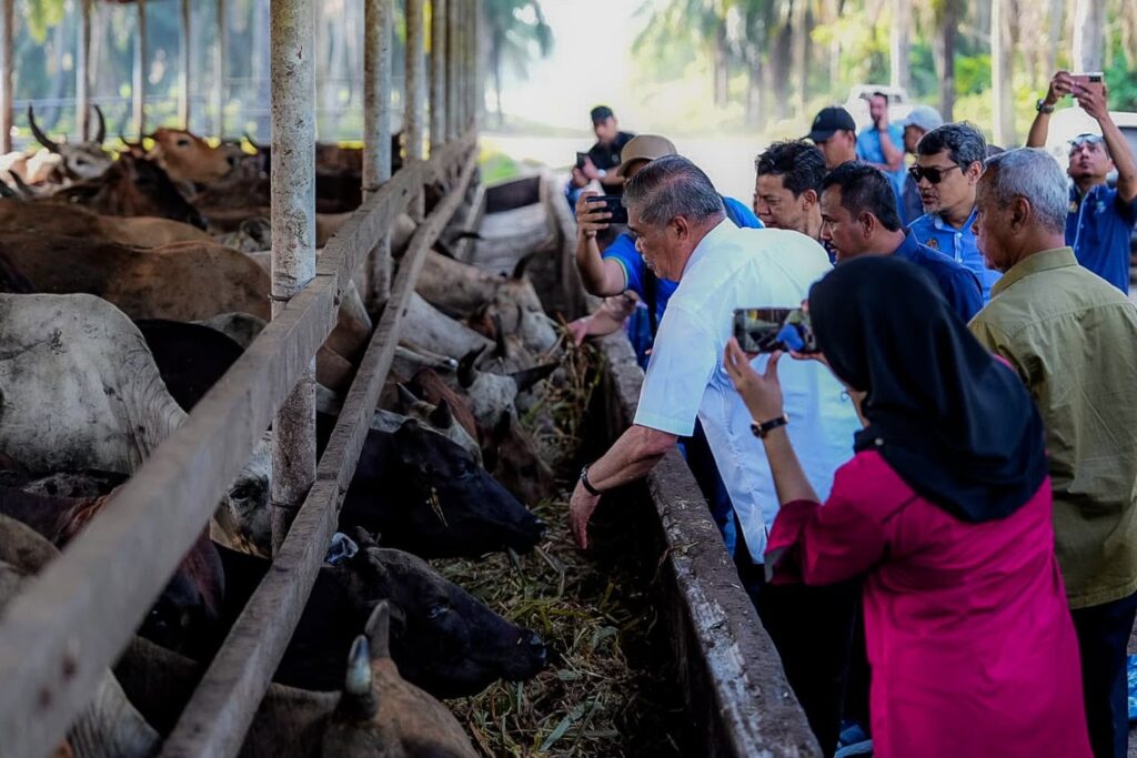 Bekalan daging mencukupi menjelang Ramadan, Hari Raya Aidilfitri