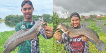 Menduga haruan Hospital Sultanah Aminah Johor Bahru