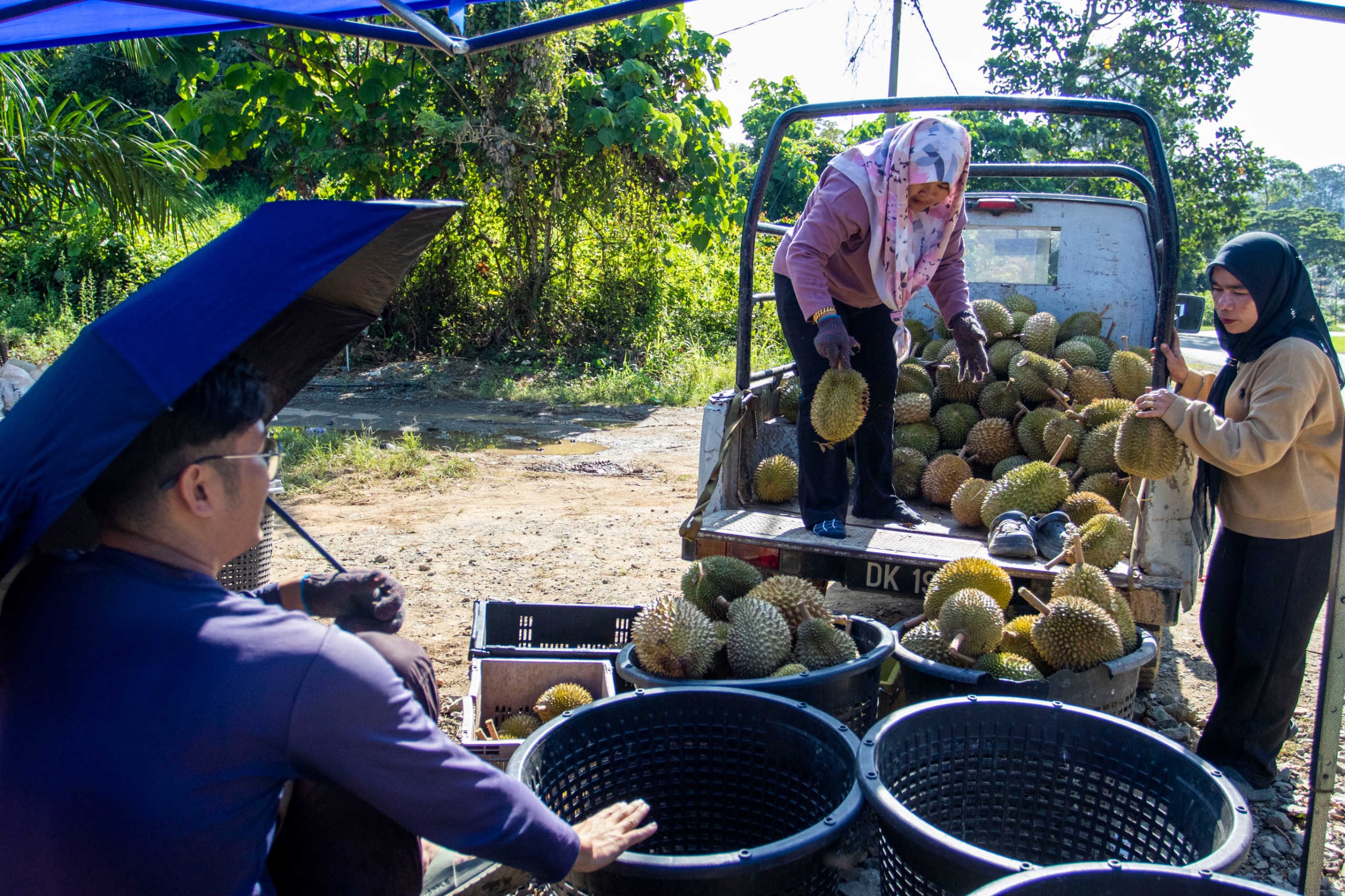 Duri hitam RM20 sekilo, semua mampu makan