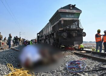 7 gajah mati dirempuh kereta api