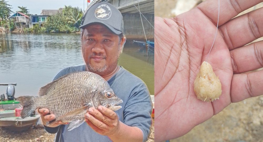 Membuat umpan ikan kuku