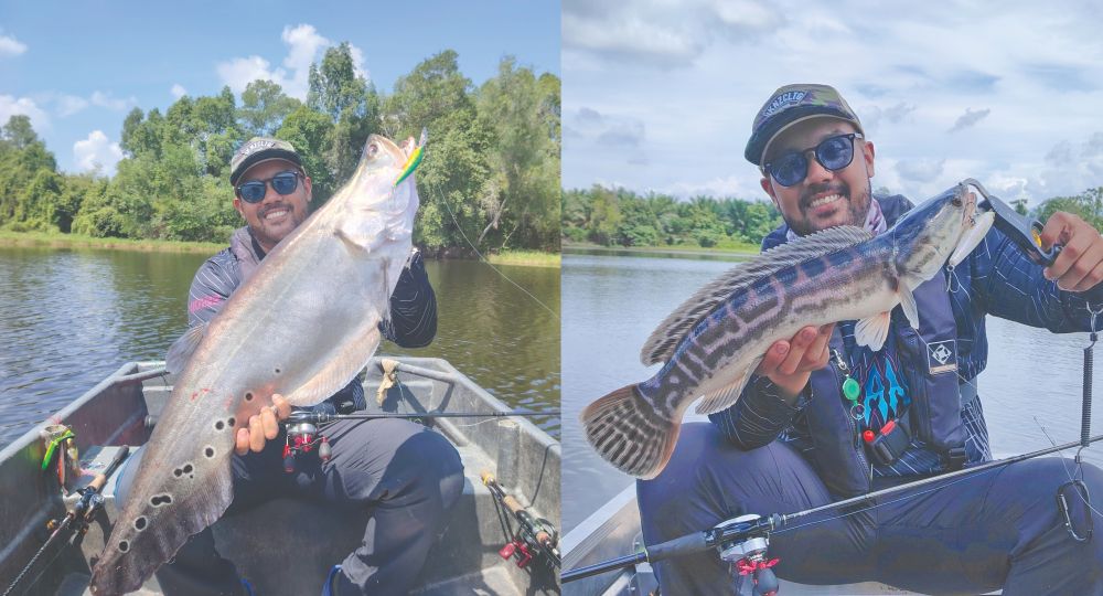 Menjengah pemangsa lombong culas