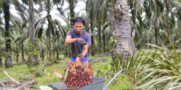 ‘Bina rumah lebih selesa di Lombok’