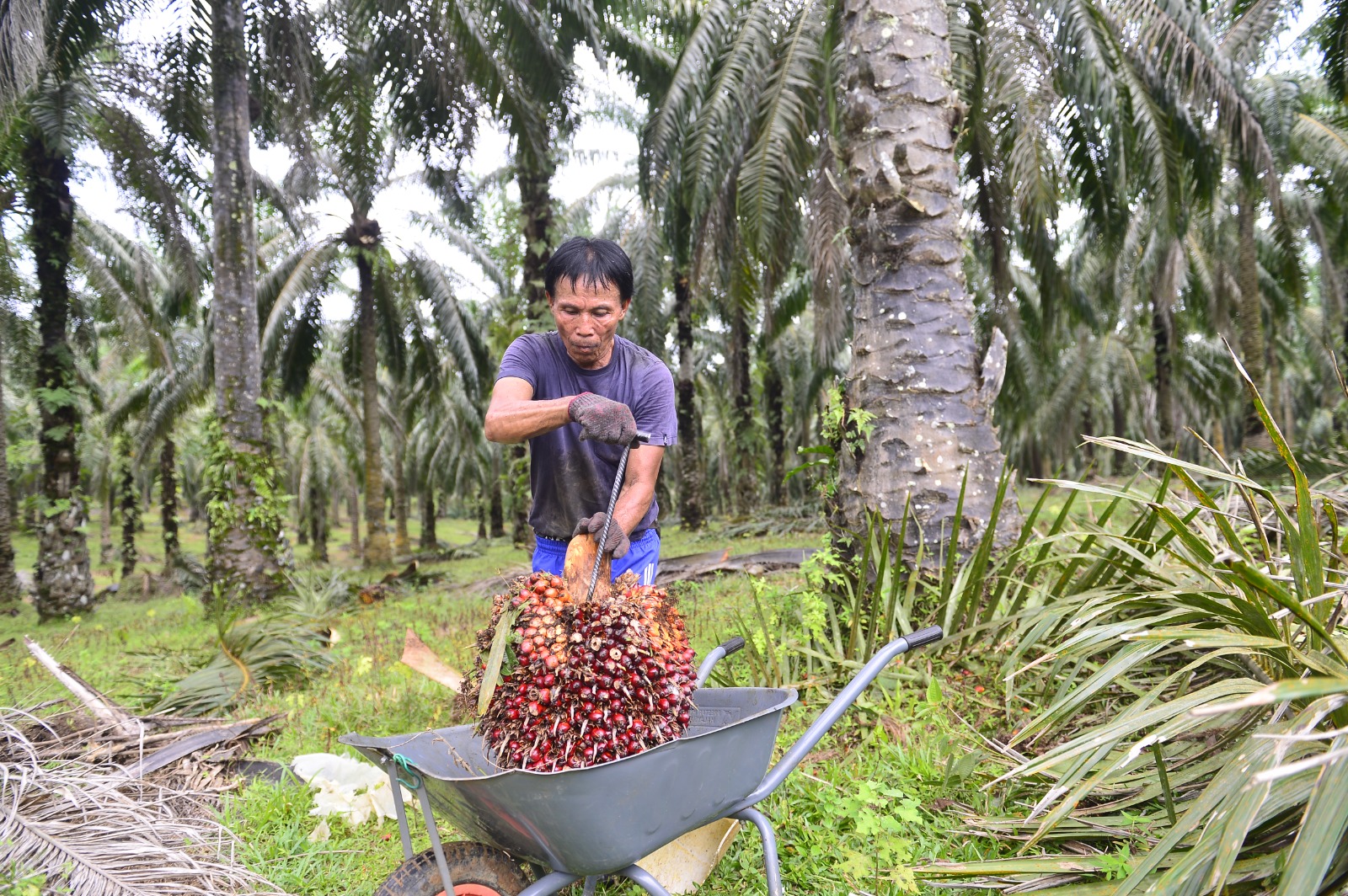 ‘Bina rumah lebih selesa di Lombok’