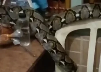 Misteri bunyi geseran 2 pagi terjawab