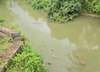 Adik, rakan cuma mampu lihat pelajar diterkam buaya