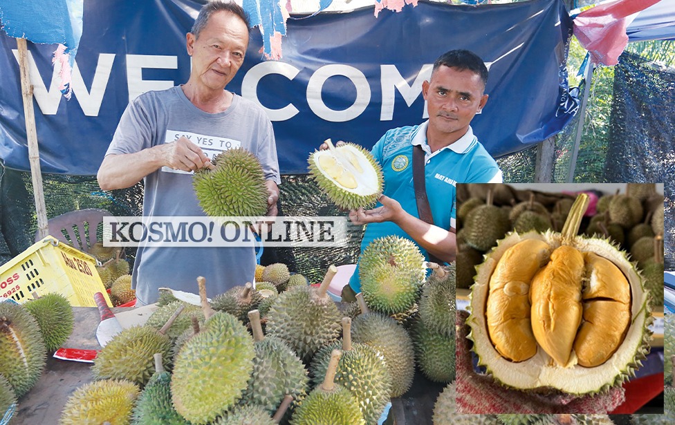 Musang king dah naik harga, black thorn turun