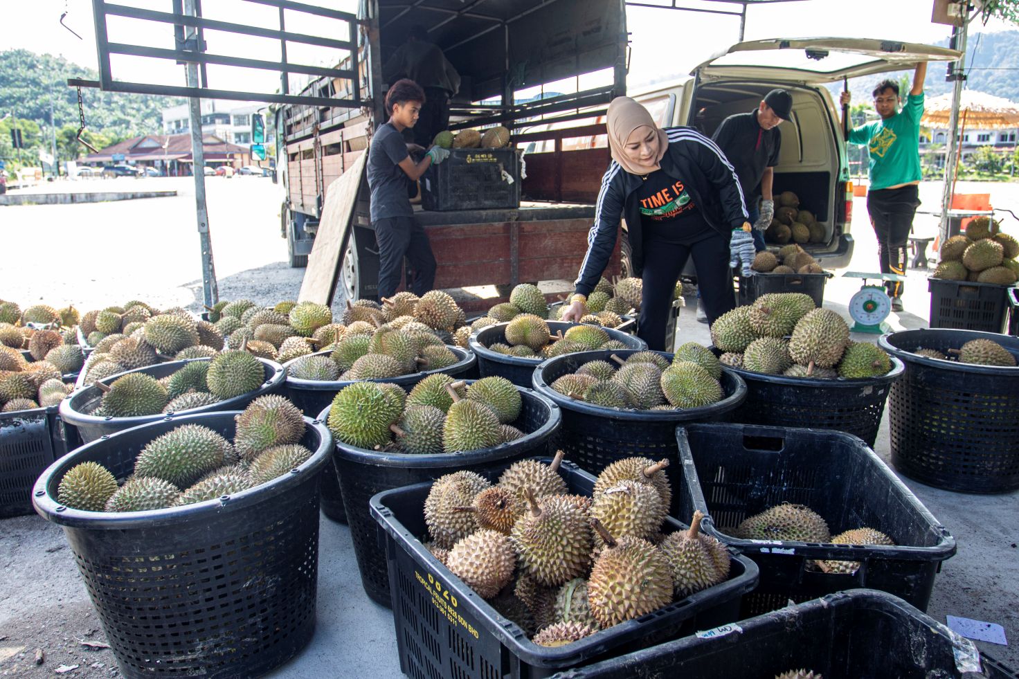 Durian kayangan ‘harga rahmah’, black thorn RM17 sekilo