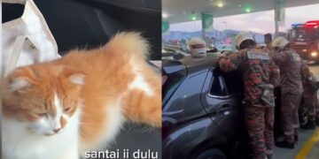 [VIDEO] ‘Nasib tak kena lempang dengan bomba’