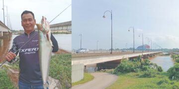 Menebing begahak di bawah Jambatan Pekan