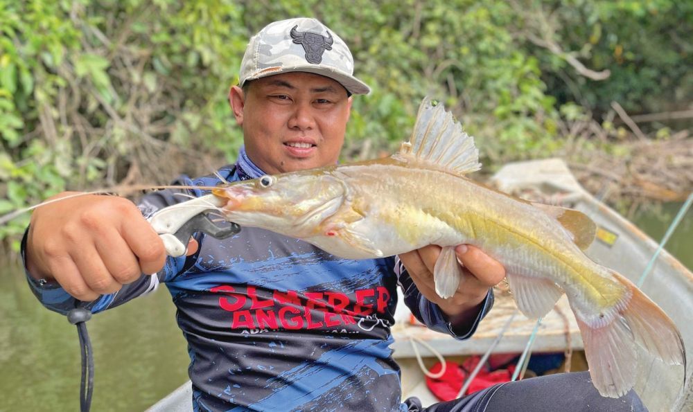 Mencari ikan baung kuning di Batang Lupar