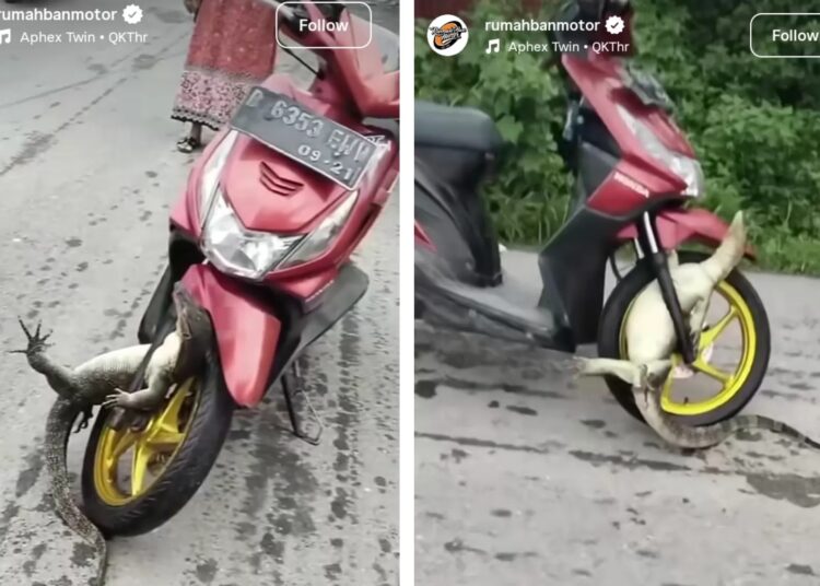 Dunia - Kosmo Digital