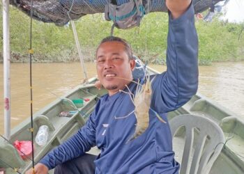 Trip ‘terjah’ udang galah di Bagan Datuk