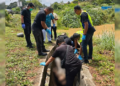 Mayat wanita tanpa identiti ditemui dalam longkang