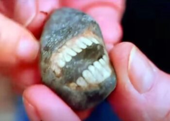 Wanita jumpa batu ‘tersengih’ 