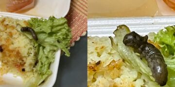 [VIDEO] Beli nasi ayam madu pakej ‘protein’ ulat