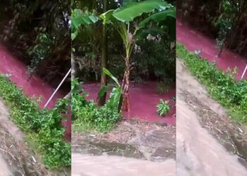 Penduduk gempar lihat air banjir warna merah jambu