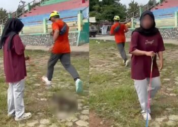 Polis siasat lelaki tendang kucing sampai mati