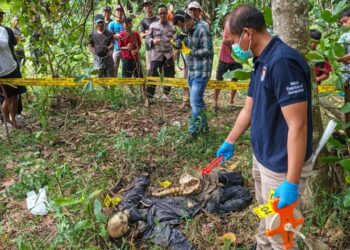 Rangka manusia pakai jaket dalam kebun