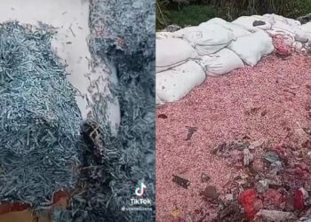 Cebisan wang menimbun di tempat pelupusan sampah